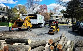 Best Lawn Drainage Solutions  in Wanamassa, NJ