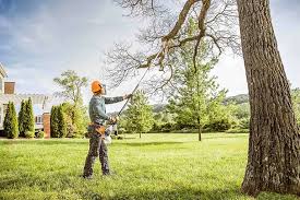 Best Lawn Disease Treatment  in Wanamassa, NJ