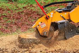 Best Tree Cabling and Bracing  in Wanamassa, NJ