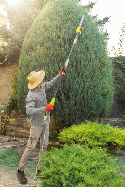 Best Lawn Pest Prevention  in Wanamassa, NJ